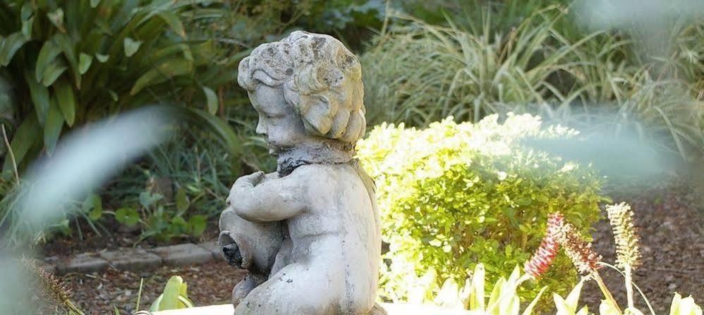 Tancredi B&B Pietermaritzburg Dış mekan fotoğraf
